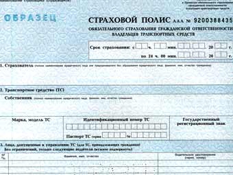 Образец полиса ОСАГО