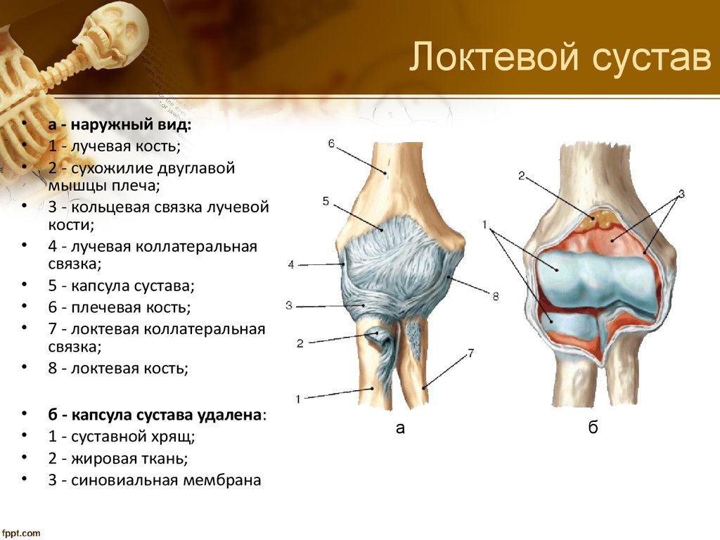 Как лечить локтевой сустав на руке Как лечить локтевой сустав на руке