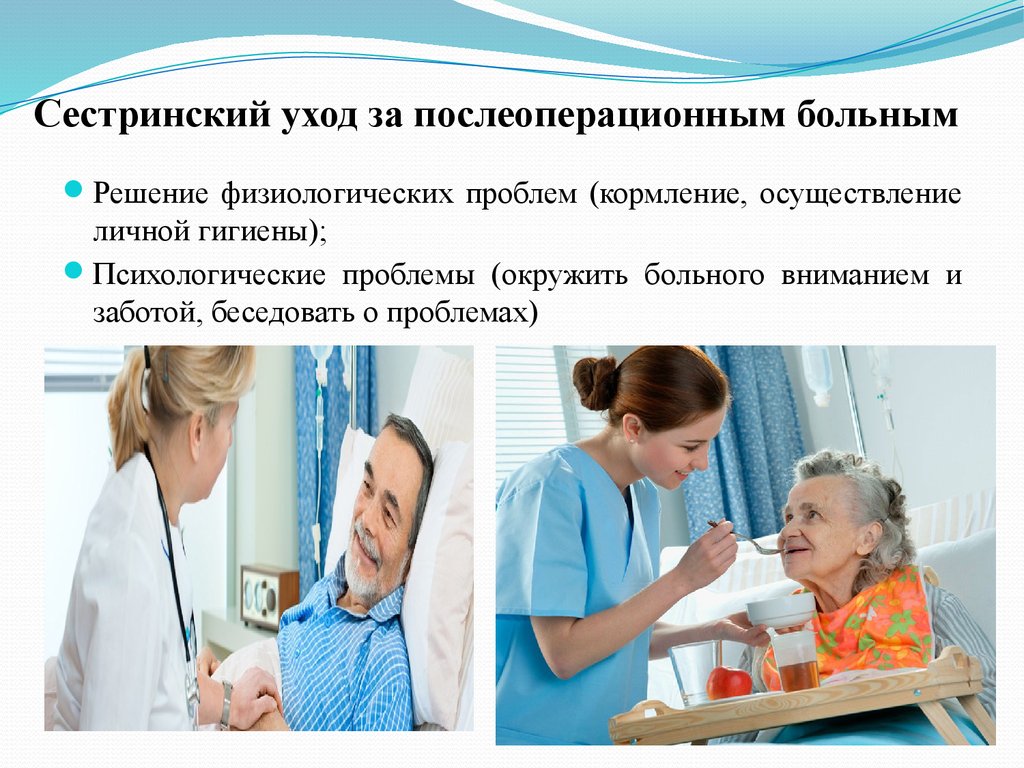 Асаковская - акция "Первоцвет" Архивы Живи! - Страница 3 из 47 - Собиратель звезд