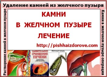 У меня нет желчного пузыря как лечить печень У меня нет желчного пузыря как лечить печень