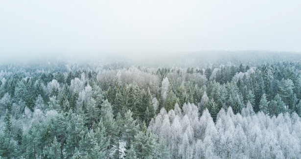 Синоптики Удмуртии рассказали о максимальных и минимальных значениях температуры воздуха в январе