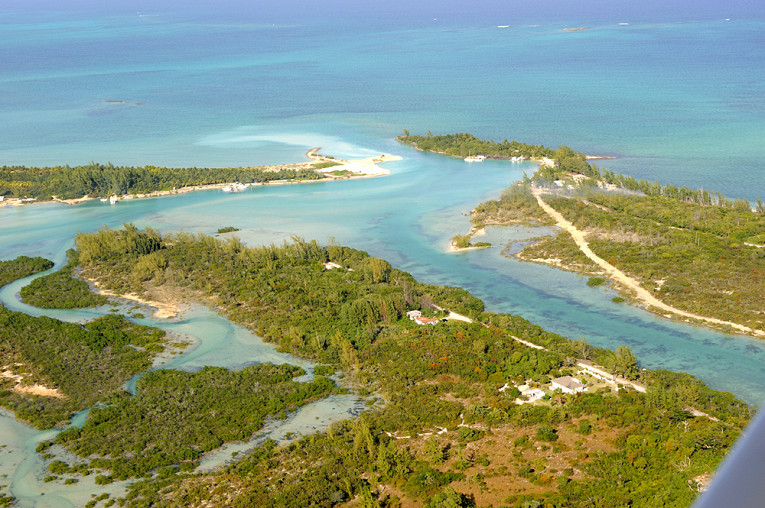 Багамские острова северная америка. Андрос (остров, Багамы). Андрос (остров, Греция). Багамы остров Андрос природа.