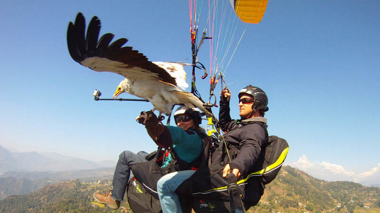 bd655bf61fc7ee3dbd1b21da62291318