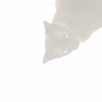 Фото Артем Колт