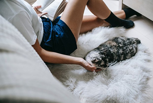 Как самостоятельно избавиться от блох в квартире - Рамблер/женский