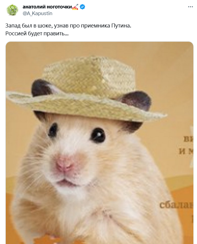 Хомяк в телеграм. Хомяк в шляпе. Хомяк в шляпе Мем. Хомяк эмодзи. Хомяк тг