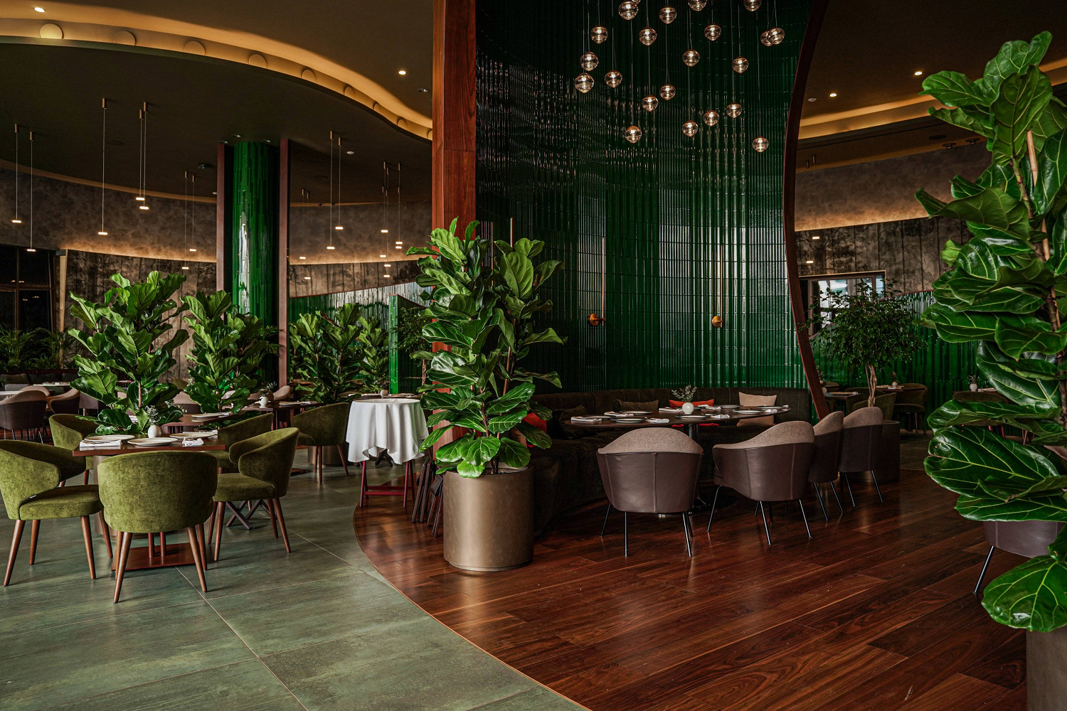 Фото ресторана от Афиши — Amavi