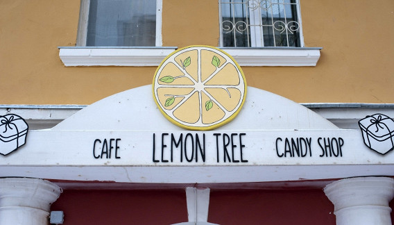 Lemon Tree
