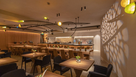 Lila Asia