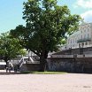 Логотип - Парк Ораниенбаум