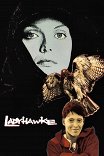 Леди-ястреб / Ladyhawke