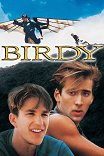 Птаха / Birdy