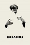 Лобстер / The Lobster
