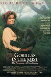 Гориллы в тумане / Gorillas in the Mist: The Story of Dian Fossey