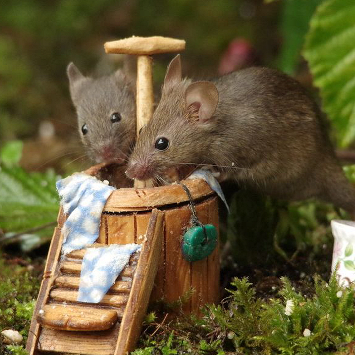 Свой особняк, паб и рынок: мужчина построил в саду миниатюрную деревню для мышей