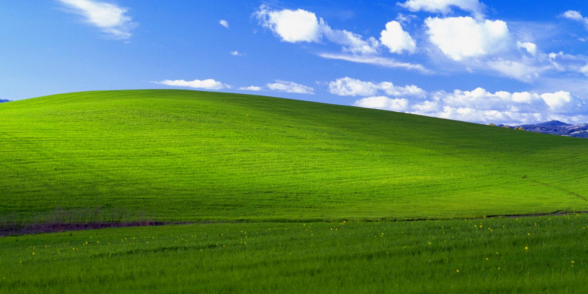 Обои windows xp где находится