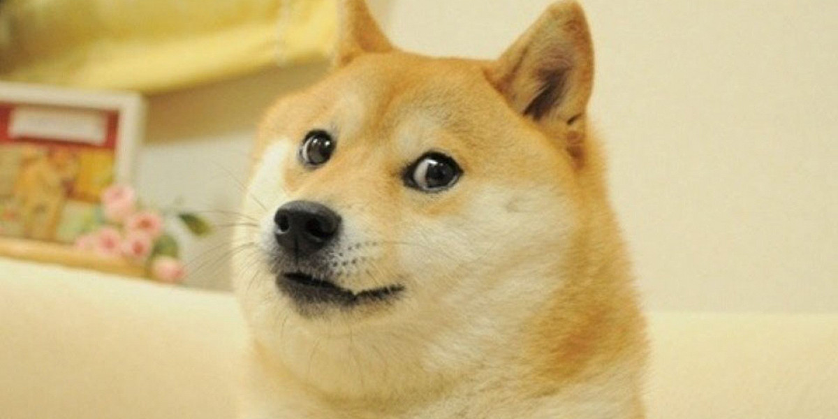 Доги собака мем умерла Сайт Know Your Meme опубликовал видео с главными мемами 2010-х - и изменениями и