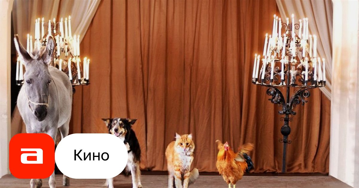 Фильм Бременские музыканты (Германия, 2009) – Афиша-Кино
