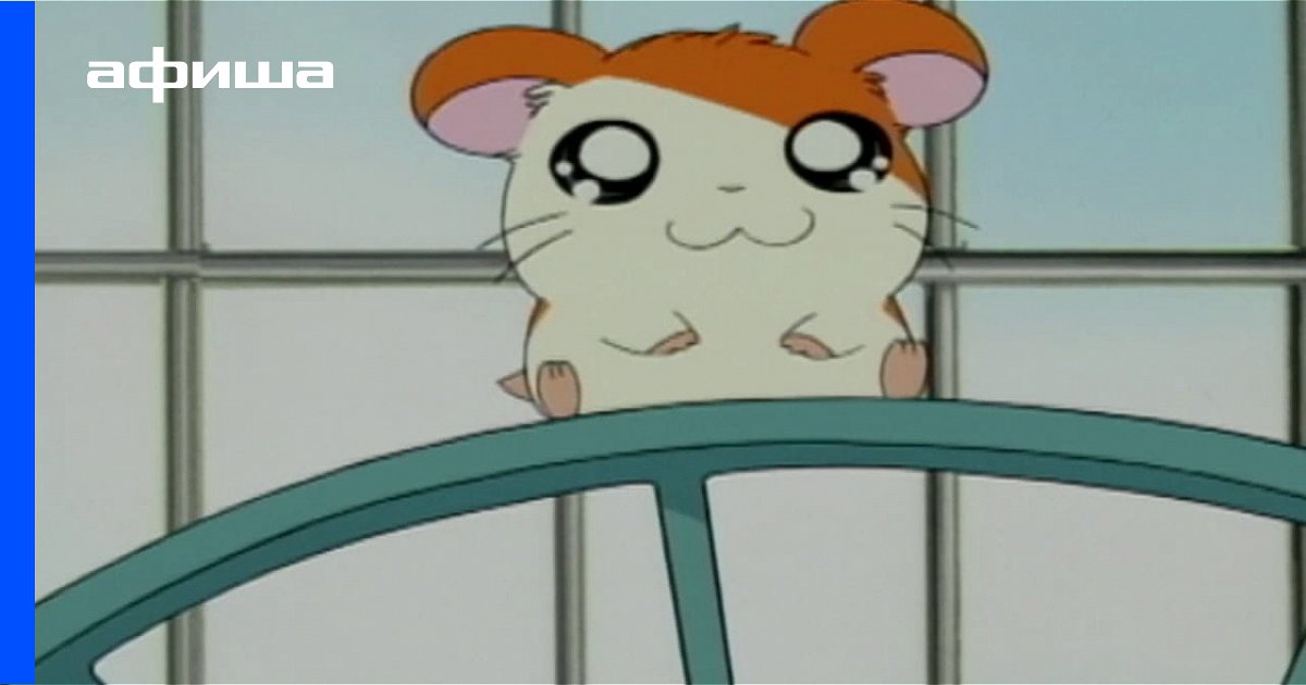 Anime Hamtaro 1 Sezon Seriala 296 Epizodov Yaponiya Nazvaniya Epizodov Daty Vyhoda Serij Smotret Trejlery Aktery Kadry So Semok Anime Afisha Serialy