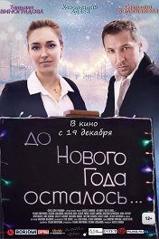 До Нового года осталось…