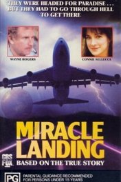 Жесткая посадка / Miracle Landing