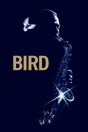 Птица / Bird