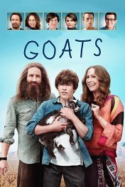 Козы / Goats
