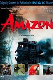 Амазонка / Amazon