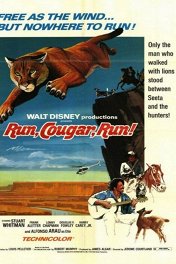 Беги, Пума, беги / Run, Cougar, Run