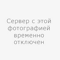 Фото Анатолий Бурцев