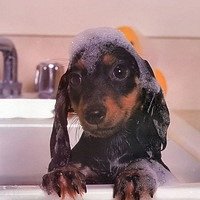 Фото Анастасия Валерьевна