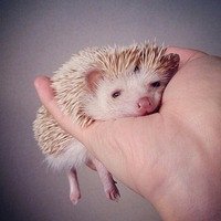 Фото Кристина Коро