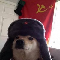 Что идет в гиппопо