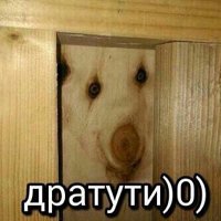 Фото андрей михей
