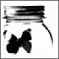 Фото palefaced