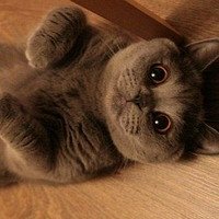 Фото Павел Смирнов