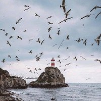 Фото Светлана Латте
