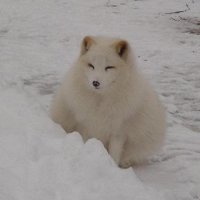 Фото Тироль в моем сердце