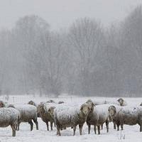 Фото Катечкина
