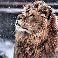 Фото Виталий Казаков