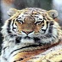 Фото Василина Д