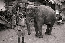 Солдат и слон – афиша