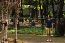 Открытки из зоопарка – афиша