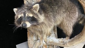 Новогодние Представления Для Детей В Краснодаре Афиша