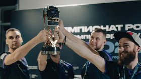 Мишки на сервере