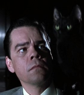 11 фильмов с демоническими котиками