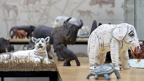 Инна Рогова и Наталья Корчемкина. Охота на Африку