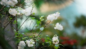 Сказки 1980 1990 годов 86fbfbfcc5df41cfb90e5c9fd51d