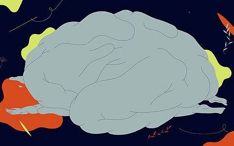 «Как работает мозг» Риты Картер