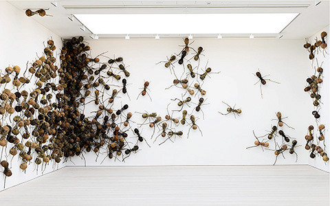 Как полуметровые муравьи захватили галерею Saatchi